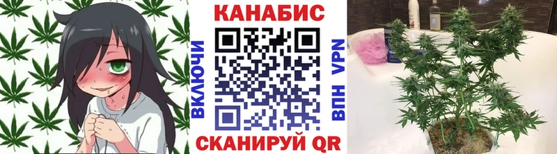Купить где  Салехард  Каннабис OG Kush 
