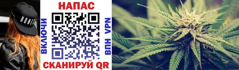 Марихуана сатива Салехард